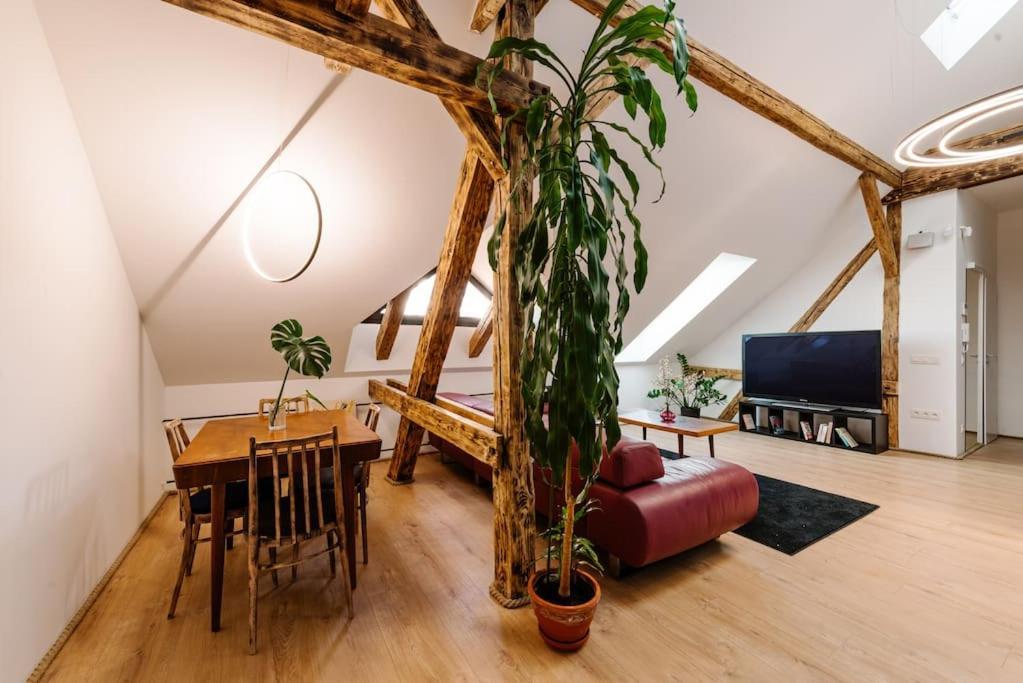 Apartment Stadium Side Rooftop Maisonette Pressburg